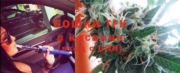 стаф Сафоново
