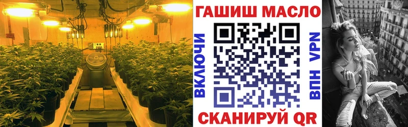 ТГК концентрат Боготол